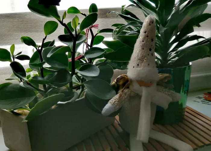 Urocze W Sercu Cieplic